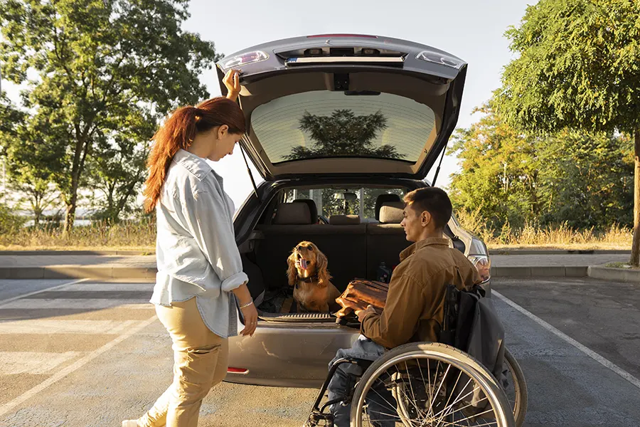 assist travel transport